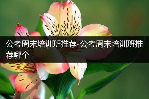 公考周末培训班推荐-公考周末培训班推荐哪个