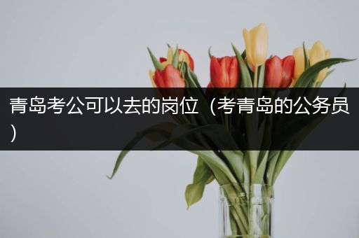 青岛考公可以去的岗位（考青岛的公务员）
