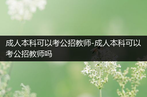 成人本科可以考公招教师-成人本科可以考公招教师吗