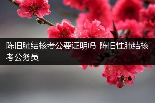 陈旧肺结核考公要证明吗-陈旧性肺结核考公务员
