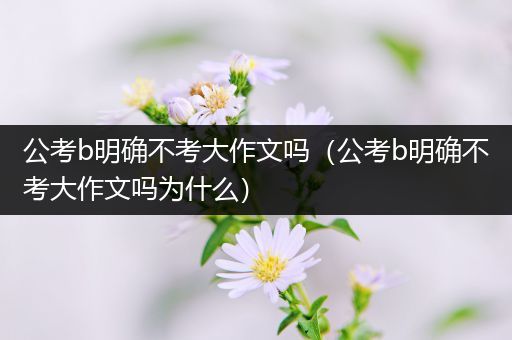 公考b明确不考大作文吗（公考b明确不考大作文吗为什么）
