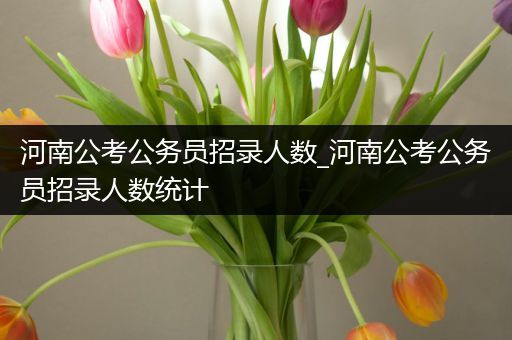 河南公考公务员招录人数_河南公考公务员招录人数统计