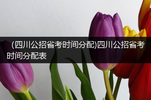 （四川公招省考时间分配)四川公招省考时间分配表