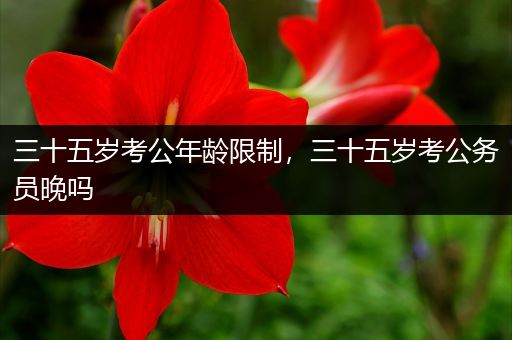三十五岁考公年龄限制，三十五岁考公务员晚吗