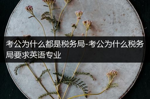 考公为什么都是税务局-考公为什么税务局要求英语专业