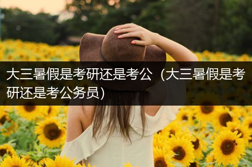 大三暑假是考研还是考公（大三暑假是考研还是考公务员）