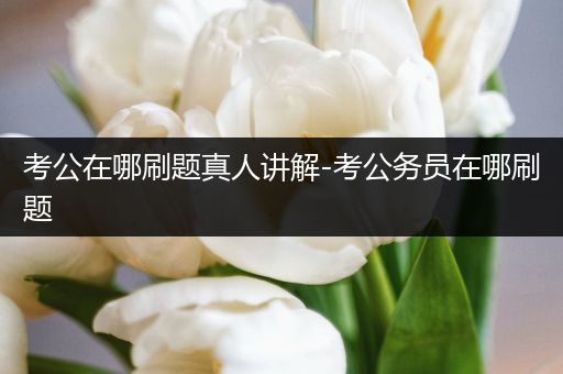 考公在哪刷题真人讲解-考公务员在哪刷题