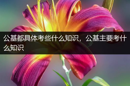 公基都具体考些什么知识，公基主要考什么知识