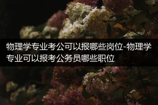 物理学专业考公可以报哪些岗位-物理学专业可以报考公务员哪些职位