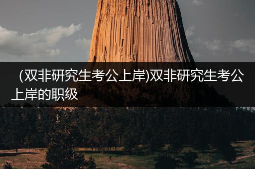 （双非研究生考公上岸)双非研究生考公上岸的职级