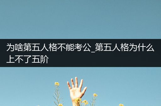 为啥第五人格不能考公_第五人格为什么上不了五阶
