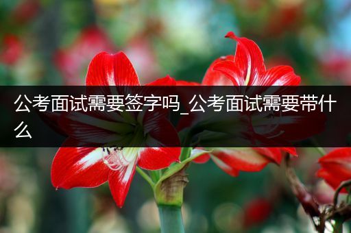 公考面试需要签字吗_公考面试需要带什么