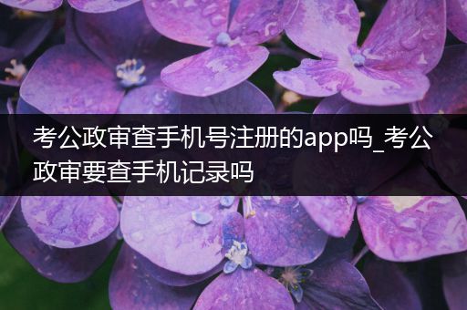 考公政审查手机号注册的app吗_考公政审要查手机记录吗
