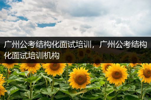广州公考结构化面试培训，广州公考结构化面试培训机构