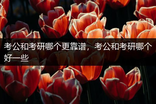 考公和考研哪个更靠谱，考公和考研哪个好一些