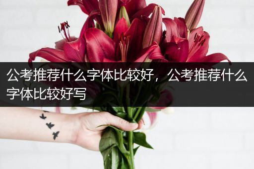 公考推荐什么字体比较好，公考推荐什么字体比较好写
