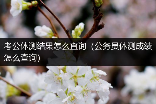 考公体测结果怎么查询（公务员体测成绩怎么查询）