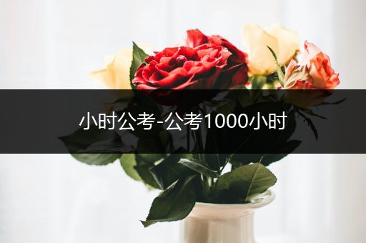 小时公考-公考1000小时