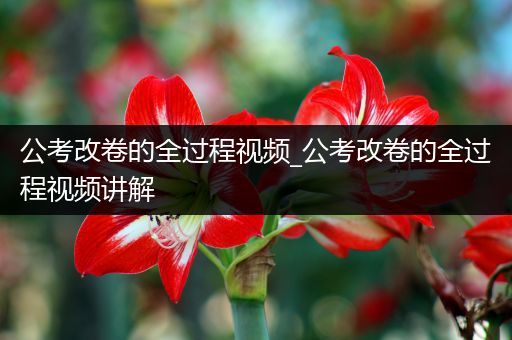 公考改卷的全过程视频_公考改卷的全过程视频讲解