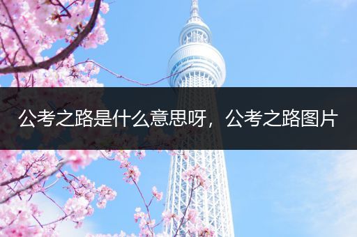 公考之路是什么意思呀，公考之路图片
