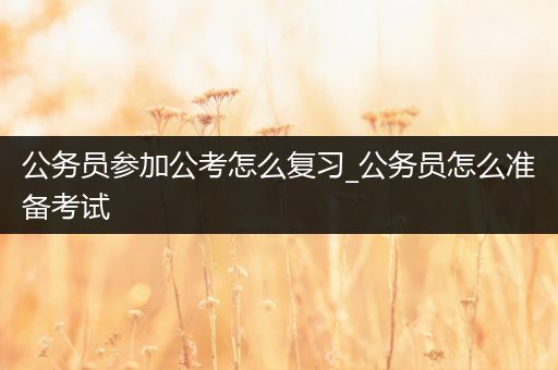 公务员参加公考怎么复习_公务员怎么准备考试