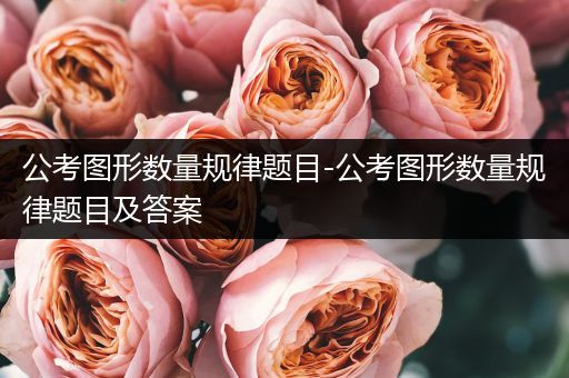 公考图形数量规律题目-公考图形数量规律题目及答案