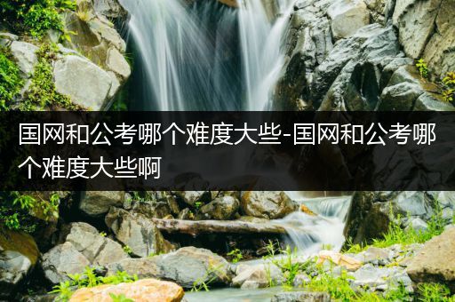国网和公考哪个难度大些-国网和公考哪个难度大些啊