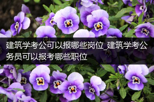 建筑学考公可以报哪些岗位_建筑学考公务员可以报考哪些职位