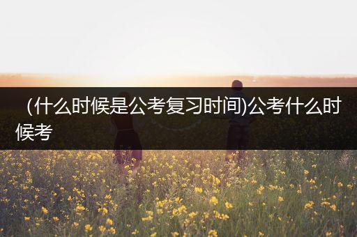 （什么时候是公考复习时间)公考什么时候考