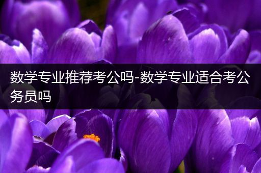 数学专业推荐考公吗-数学专业适合考公务员吗