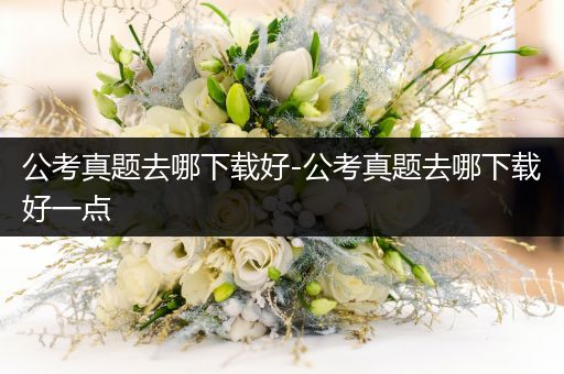 公考真题去哪下载好-公考真题去哪下载好一点
