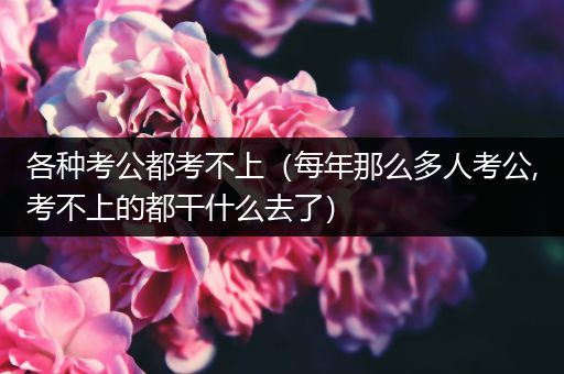 各种考公都考不上（每年那么多人考公,考不上的都干什么去了）