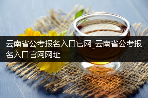 云南省公考报名入口官网_云南省公考报名入口官网网址