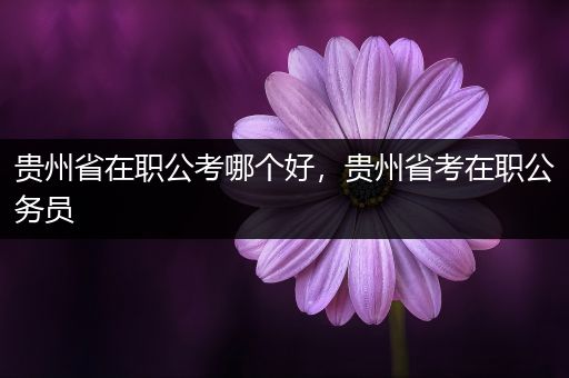 贵州省在职公考哪个好，贵州省考在职公务员