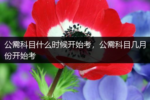 公需科目什么时候开始考，公需科目几月份开始考