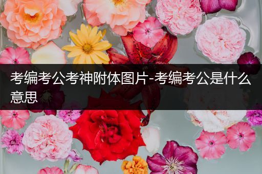 考编考公考神附体图片-考编考公是什么意思