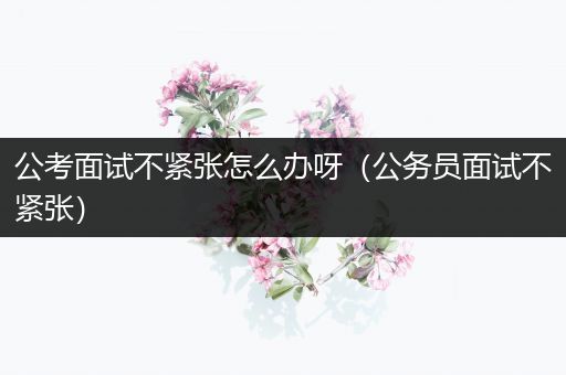 公考面试不紧张怎么办呀（公务员面试不紧张）