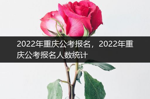 2022年重庆公考报名，2022年重庆公考报名人数统计