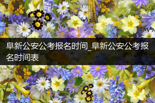 阜新公安公考报名时间_阜新公安公考报名时间表