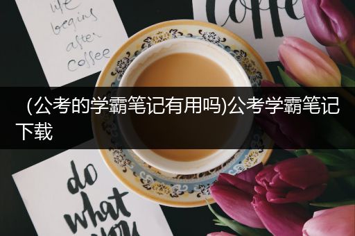 （公考的学霸笔记有用吗)公考学霸笔记下载