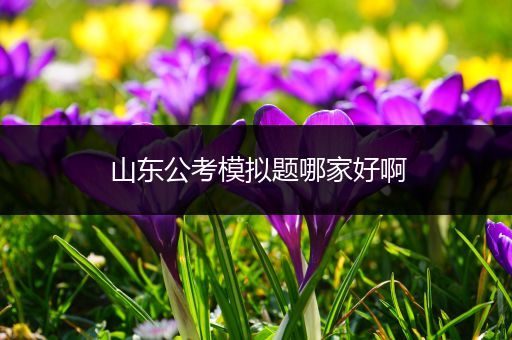 山东公考模拟题哪家好啊