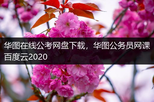 华图在线公考网盘下载，华图公务员网课百度云2020