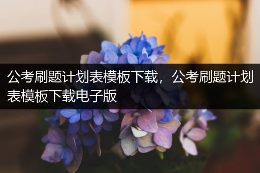 公考刷题计划表模板下载，公考刷题计划表模板下载电子版