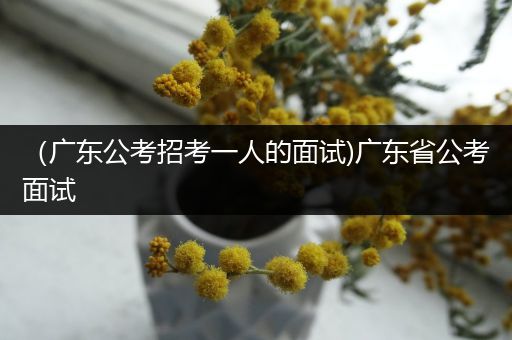 （广东公考招考一人的面试)广东省公考面试