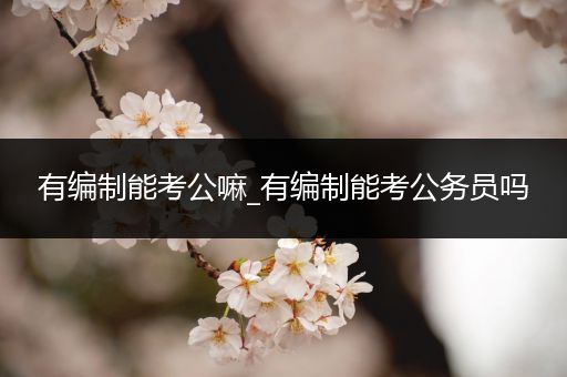 有编制能考公嘛_有编制能考公务员吗