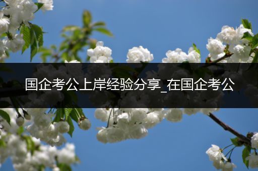 国企考公上岸经验分享_在国企考公