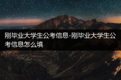 刚毕业大学生公考信息-刚毕业大学生公考信息怎么填