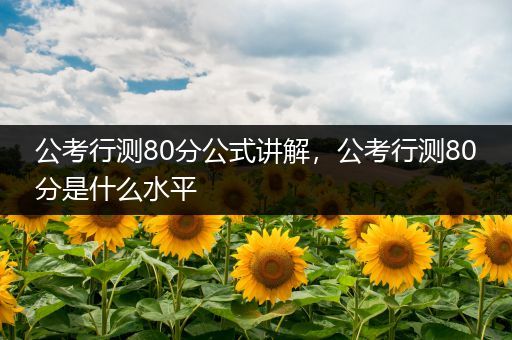 公考行测80分公式讲解，公考行测80分是什么水平
