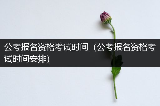 公考报名资格考试时间（公考报名资格考试时间安排）