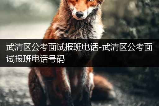 武清区公考面试报班电话-武清区公考面试报班电话号码